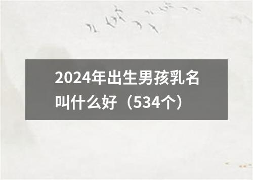 2024年出生男孩乳名叫什么好（534个）