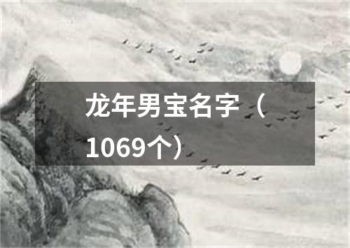 龙年男宝名字（1069个）