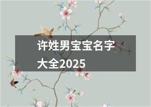 许姓男宝宝名字大全2025