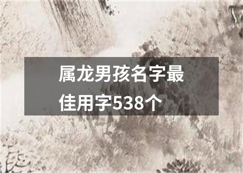 属龙男孩名字最佳用字538个