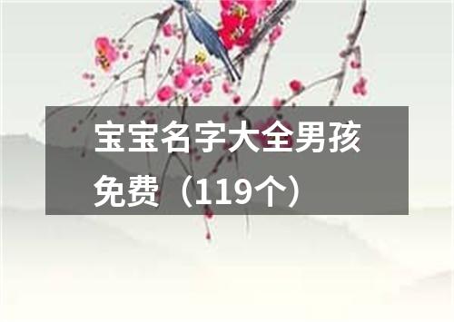 宝宝名字大全男孩免费（119个）