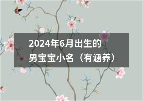 2024年6月出生的男宝宝小名（有涵养）