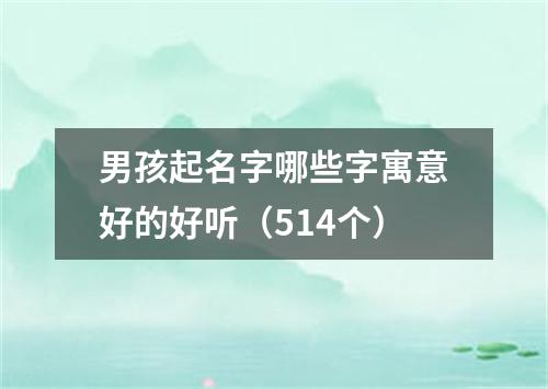 男孩起名字哪些字寓意好的好听（514个）