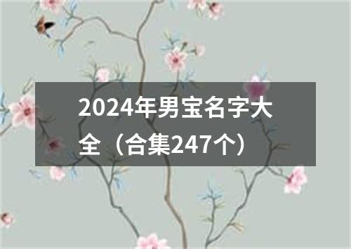 2024年男宝名字大全（合集247个）