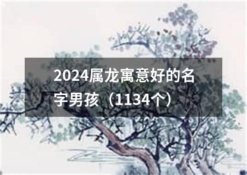 2024属龙寓意好的名字男孩（1134个）