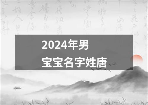 2024年男宝宝名字姓唐