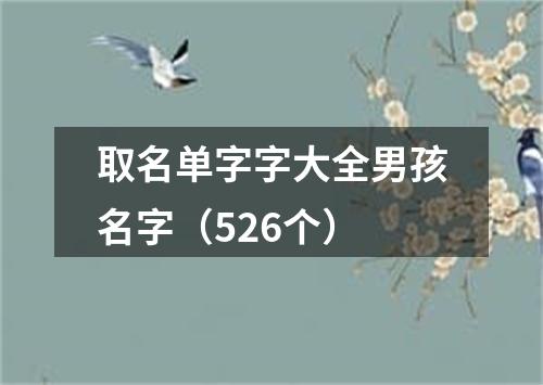 取名单字字大全男孩名字（526个）