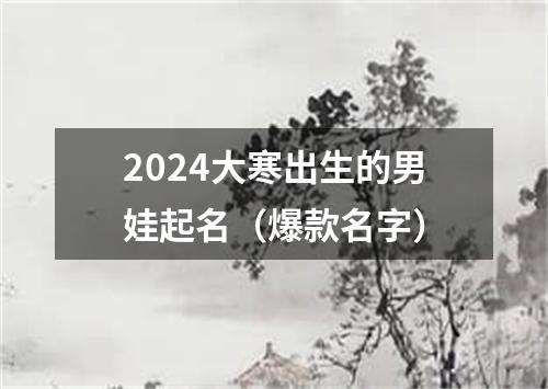 2024大寒出生的男娃起名（爆款名字）