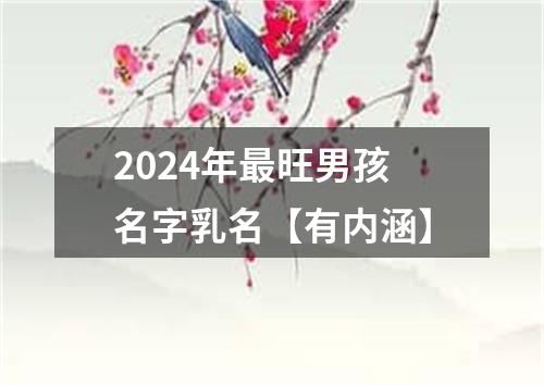 2024年最旺男孩名字乳名【有内涵】