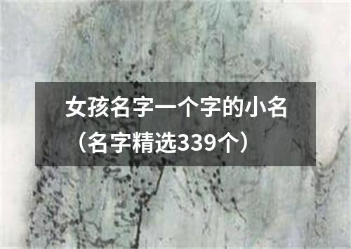 女孩名字一个字的小名（名字精选339个）