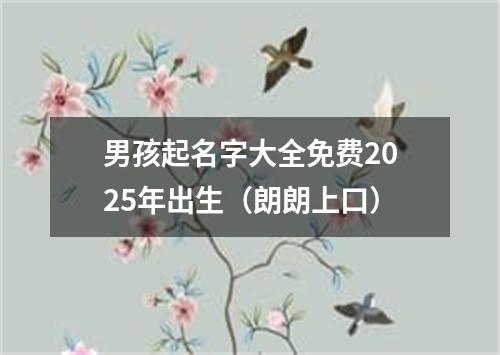 男孩起名字大全免费2025年出生（朗朗上口）