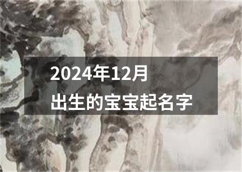 2024年12月出生的宝宝起名字