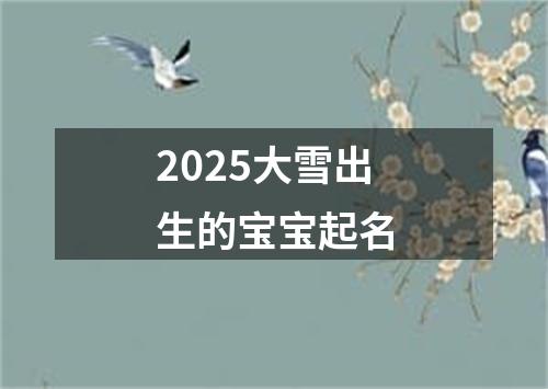 2025大雪出生的宝宝起名