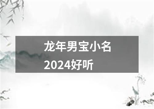 龙年男宝小名2024好听