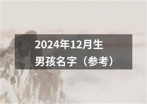 2024年12月生男孩名字（参考）