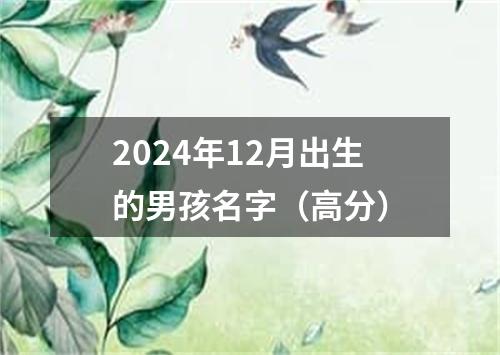 2024年12月出生的男孩名字（高分）