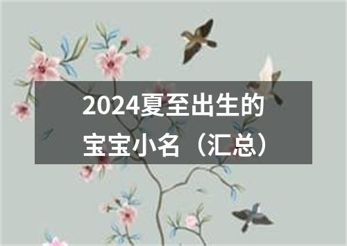 2024夏至出生的宝宝小名（汇总）