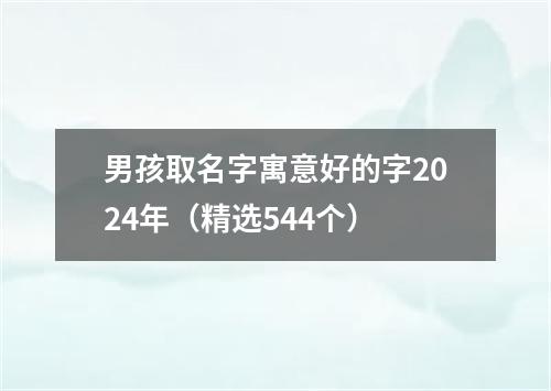 男孩取名字寓意好的字2024年（精选544个）