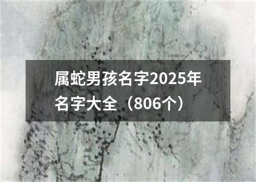 属蛇男孩名字2025年名字大全（806个）