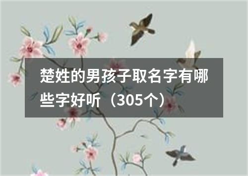 楚姓的男孩子取名字有哪些字好听（305个）