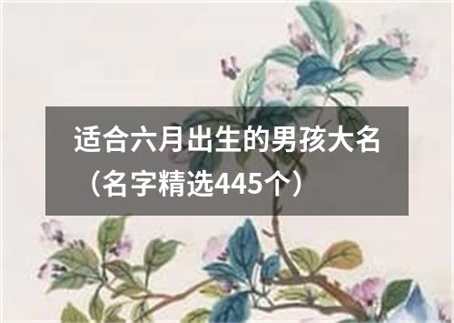 适合六月出生的男孩大名（名字精选445个）