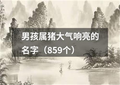 男孩属猪大气响亮的名字（859个）