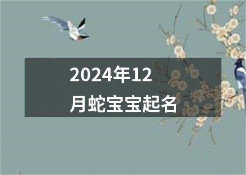 2024年12月蛇宝宝起名