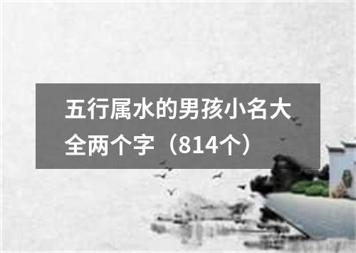 五行属水的男孩小名大全两个字（814个）