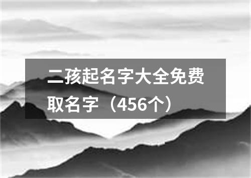 二孩起名字大全免费取名字（456个）