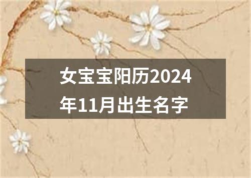 女宝宝阳历2024年11月出生名字