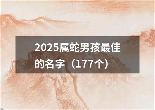 2025属蛇男孩最佳的名字（177个）