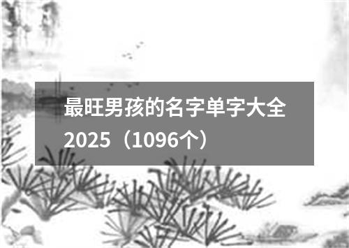 最旺男孩的名字单字大全2025（1096个）