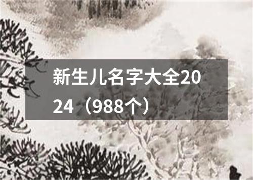 新生儿名字大全2024（988个）