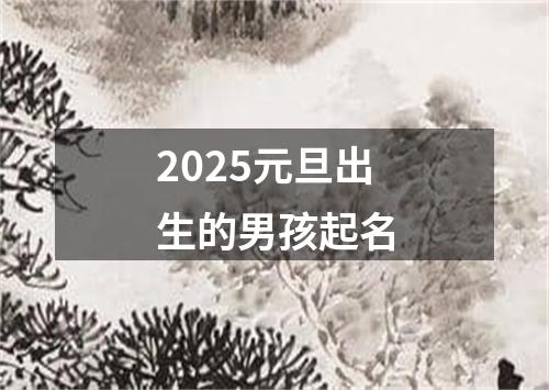 2025元旦出生的男孩起名