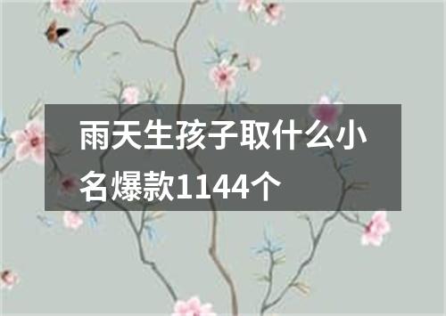 雨天生孩子取什么小名爆款1144个