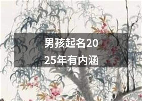 男孩起名2025年有内涵