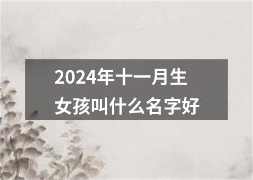 2024年十一月生女孩叫什么名字好