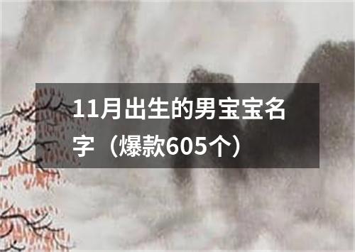 11月出生的男宝宝名字（爆款605个）