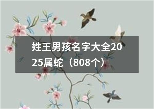 姓王男孩名字大全2025属蛇（808个）