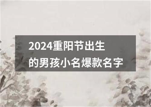 2024重阳节出生的男孩小名爆款名字