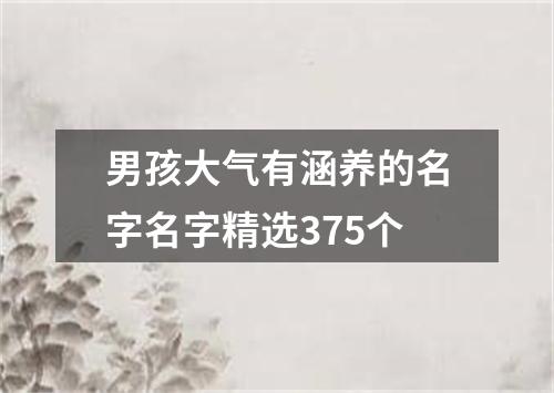 男孩大气有涵养的名字名字精选375个