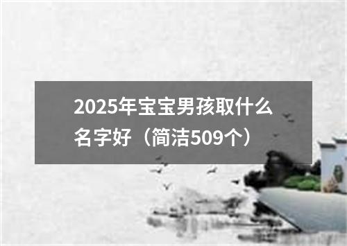 2025年宝宝男孩取什么名字好（简洁509个）