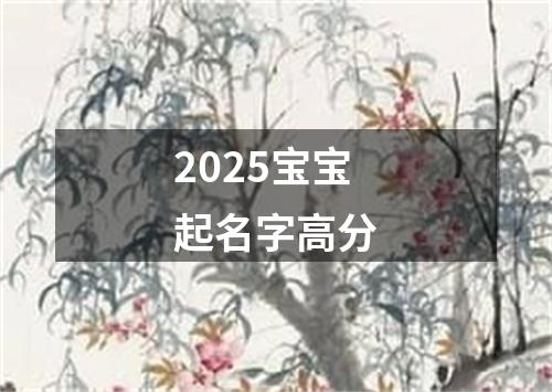 2025宝宝起名字高分