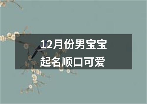 12月份男宝宝起名顺口可爱