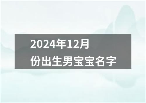 2024年12月份出生男宝宝名字