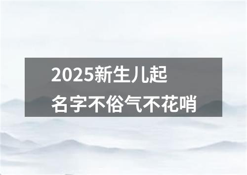 2025新生儿起名字不俗气不花哨