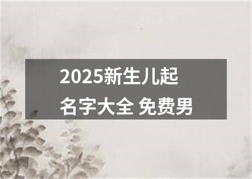 2025新生儿起名字大全 免费男