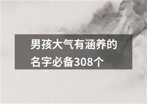 男孩大气有涵养的名字必备308个