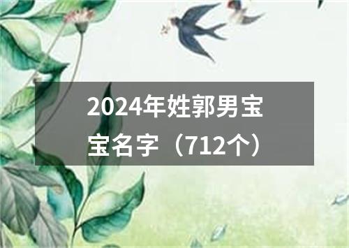 2024年姓郭男宝宝名字（712个）