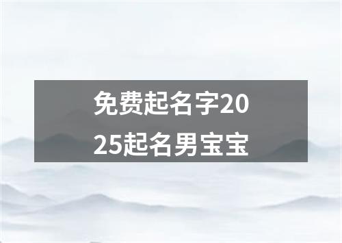 免费起名字2025起名男宝宝